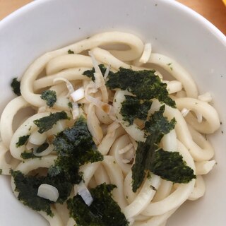 ネギ海苔うどん